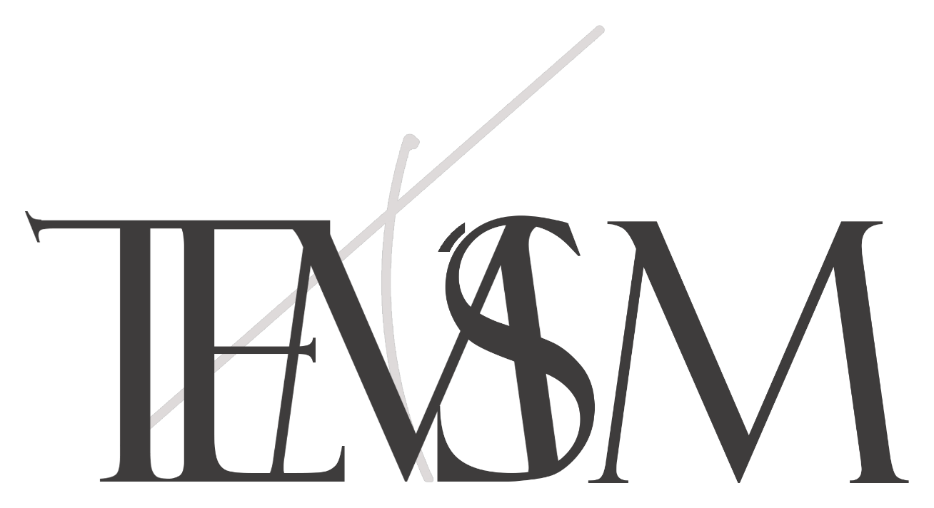 TEM'SM FURNITURE